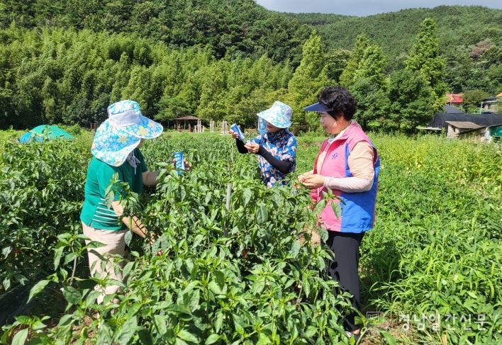 의령군, 생활개선회 온열질환 예방 홍보 활동 실시
