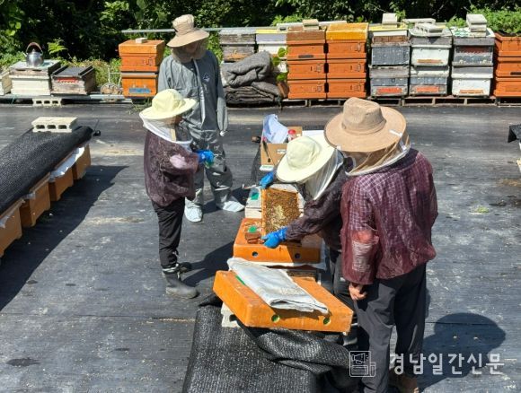 거창군, 하절기 가축 무료 순회진료 실시