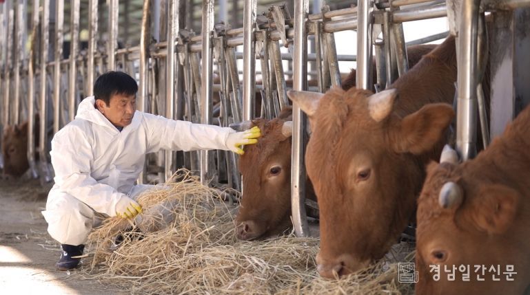 창녕군 한판석 씨, 제20회 경남한우 고급육 경진대회‘최우수상’ 수상