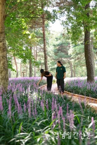 단성면 묵곡생태숲(성철공원) 내 황토 건강길