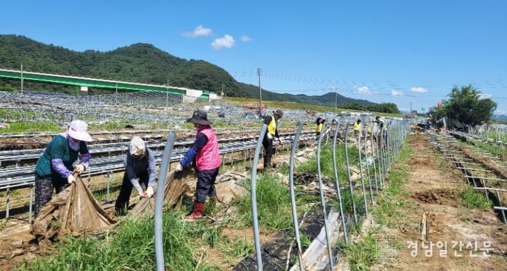 창원특례시, 132명 자원봉사자들과 산청 수해복구 활동 펼쳐