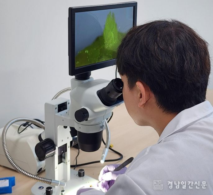 진주시, ‘딸기 꽃눈분화 검경서비스