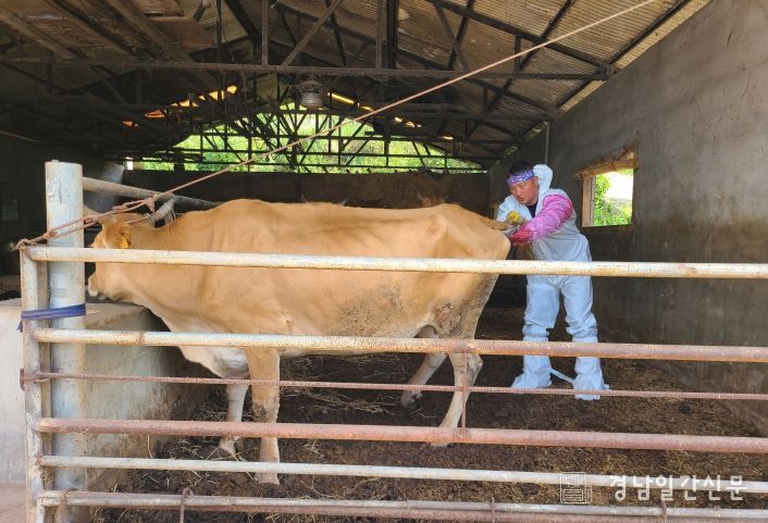 가축 무료 순회진료 실시