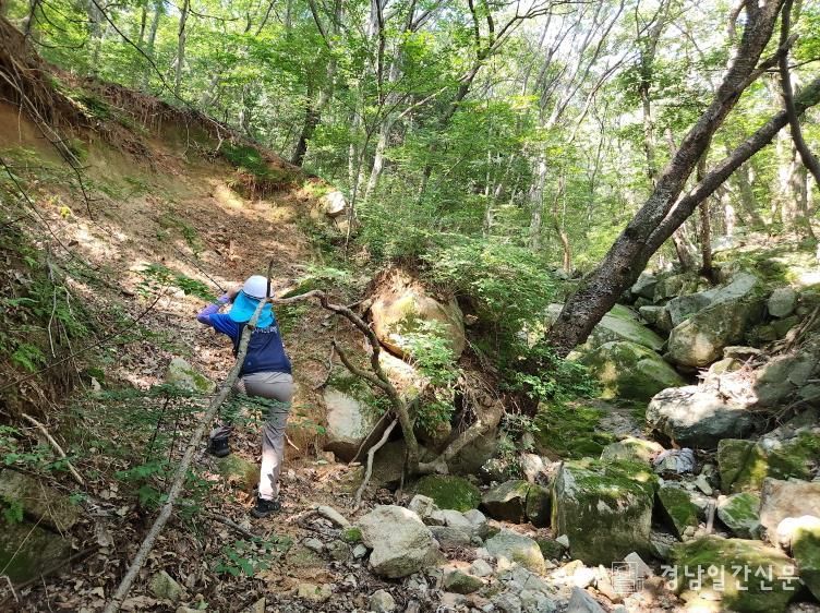 산사태 우려지역 조사