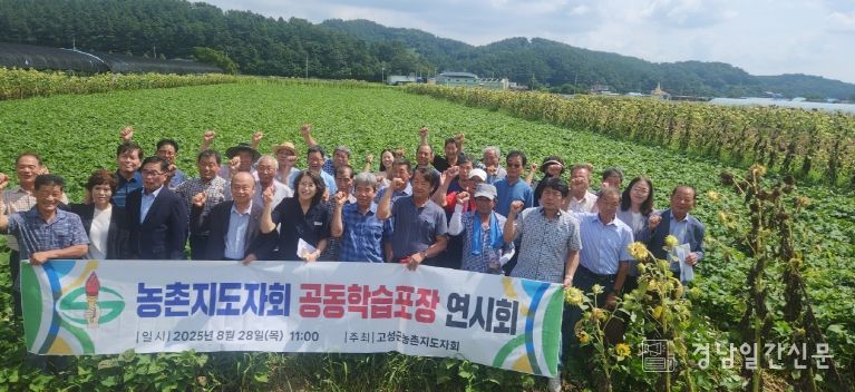 (사)한국농촌지도자 고성군연합회, 고구마 공동학습포장 연시회 개최