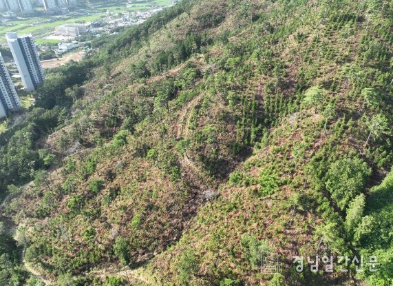 거제시, 2026년 조림사업 대상지 접수 시작