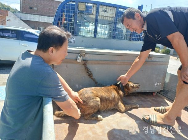 폭염 대비 가축 무료 순회진료