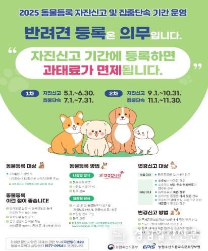 사천시, 10월 30일까지 ‘동물등록 자진신고 기간’ 운영