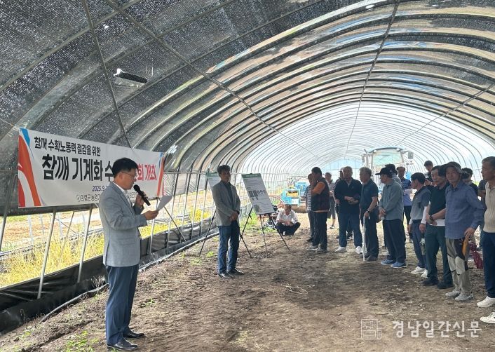의령군, 참깨 기계화 수확 연시회 개최