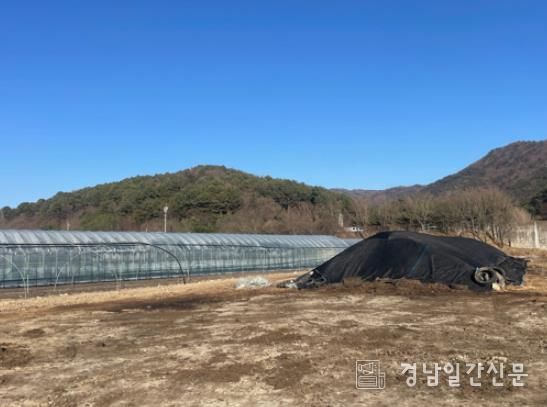 낙동강 녹조 대응(야적퇴비처리 후)