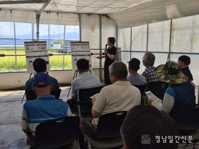 3일 밀양시농업기술센터 벼 시험포장에서 맞춤형 벼 품종개발을 위한 현장 연시회가 진행되고 있다.