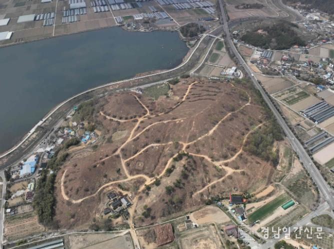 밀양시 초동면 신호리 수종전환 방제 현장