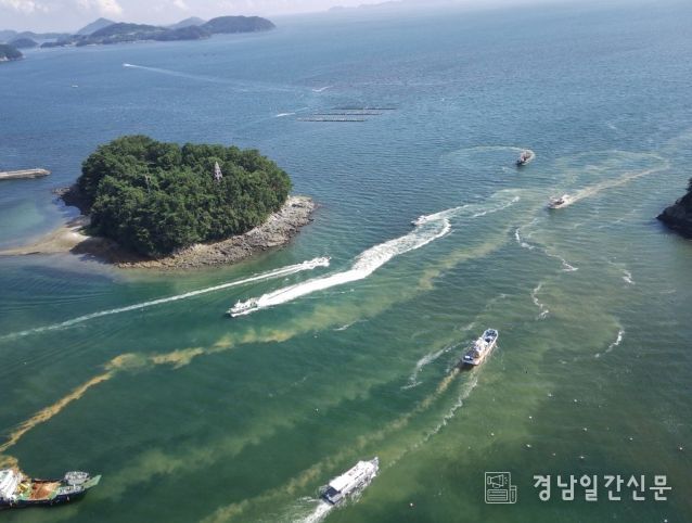 통영시, 적조 일제 방제의 날