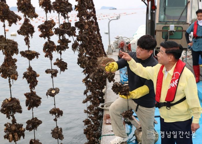 이상근 고성군수, 산소부족 물덩어리 발생에 따른 굴·가리비 피해 양식장 현장 방문