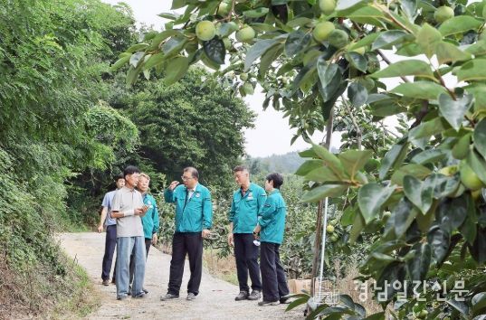 장금용 창원특례시장 권한대행, 북면 단감 농가 방문 등 현장 행정 강화