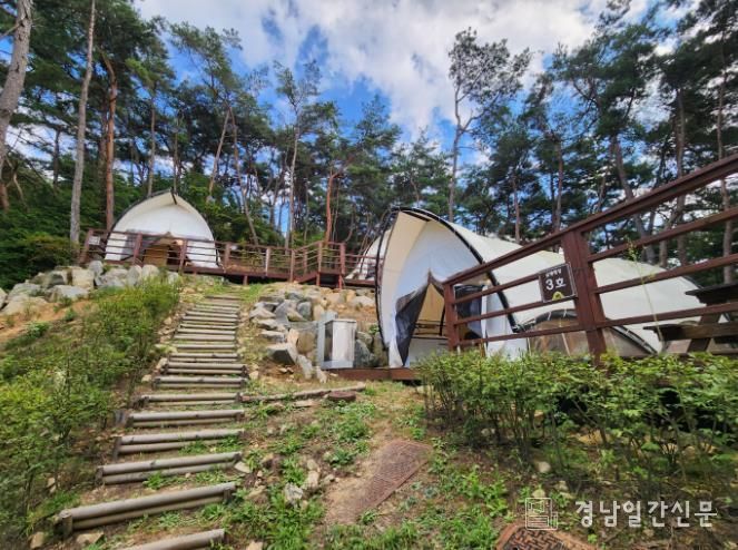 하동편백자연휴양림