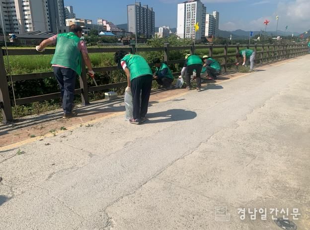 고성군 고성읍새마을협의회‧새마을부녀회 환경정화활동 펼쳐
