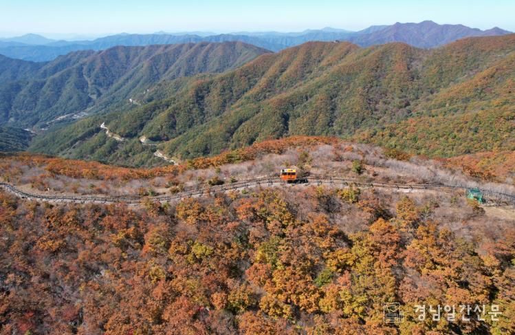 대봉산휴양밸리 가을