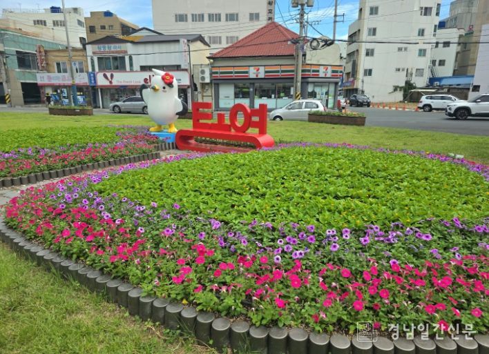 가을꽃과 함께하는 추석 맞이