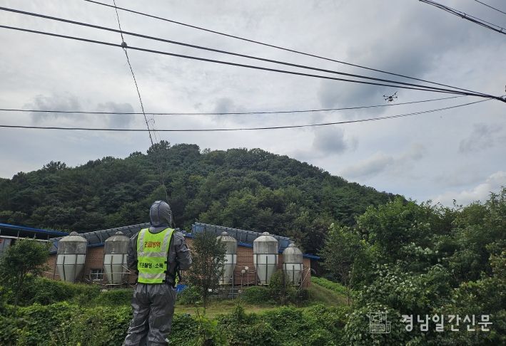 합천군, 아프리카돼지열병 차단방역 총력 대응
