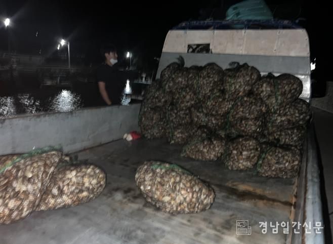 차량에 적재된 바지락을 채증한 사진(약 400kg)