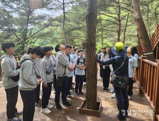 2024년 진행된 숲 해설 산림교육 프로그램 모습