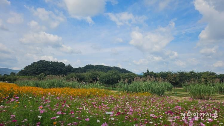 가을창포원 전경