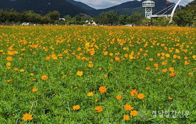 양산 황산공원’, 가을 나들이 오세요