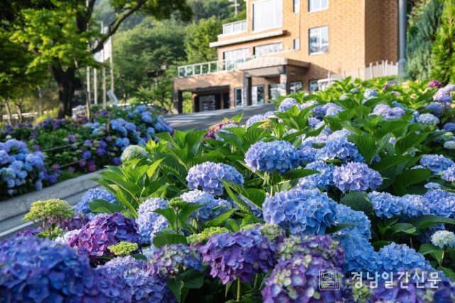 ‘월아산 숲속의 진주’ 누적 방문객 ‘150만명’ 돌파
