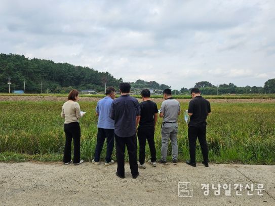 사천시, 가루쌀 생육후기 병해충 관리 현장 지도 강화