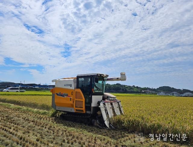 사천시, 볏짚 토양 환원으로 깨씨무늬병 피해 예방