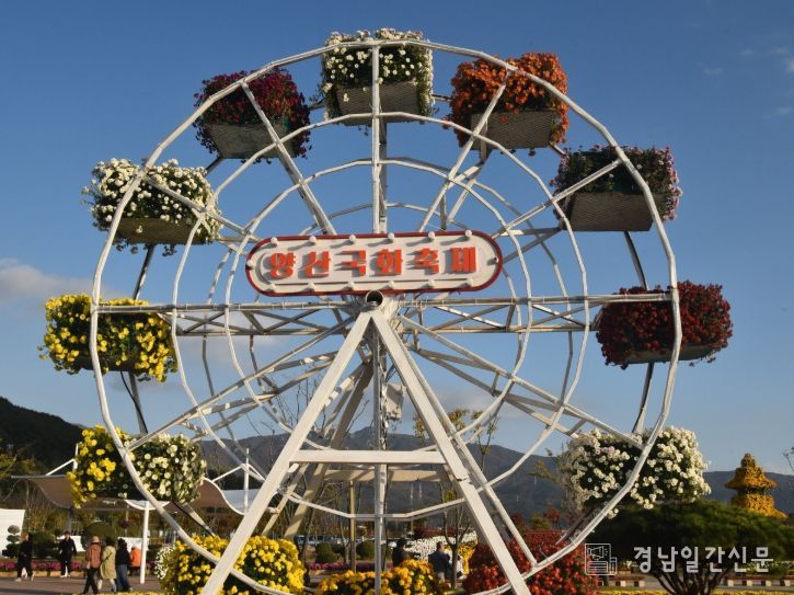 양산시, ‘2025 양산국화축제’