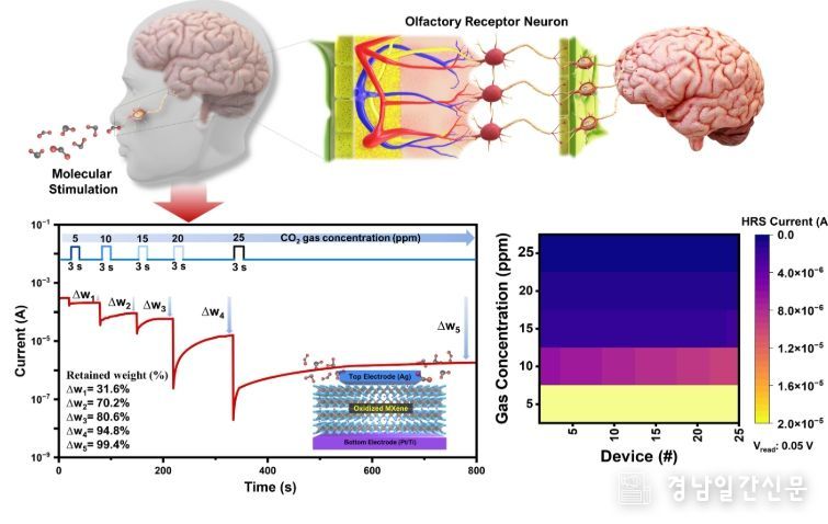 연구 결과의 개념도 및 분자 농도에 따른 전도도 제어 결과