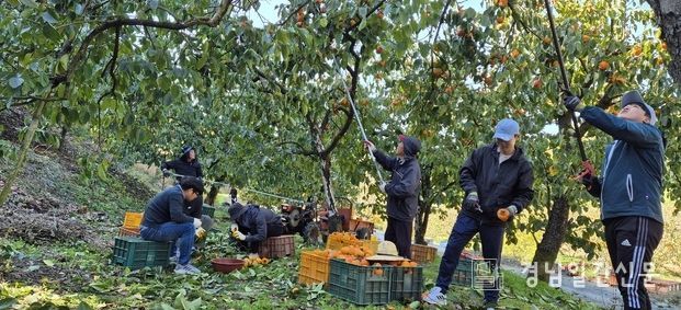 고성군, 가을철 농촌일손돕기 본격 추진