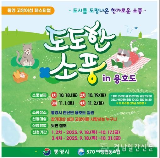 통영시, 도시를 떠나 고양이와 함께하는 치유 여행