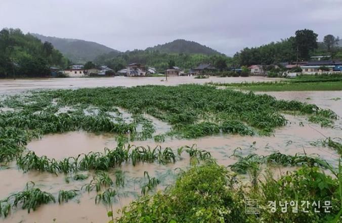 산청군 생초면 대포지구 침수피해 모습