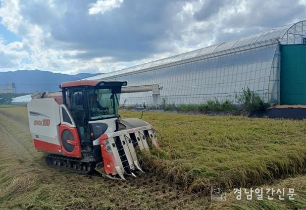 김해시, 2025년산 공공비축미곡 매입 추진 15일 산물벼 매입 시작으로 2,687t 매입