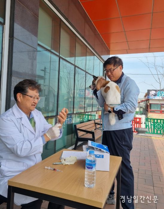가을철 광견병 무료 예방접종 실시