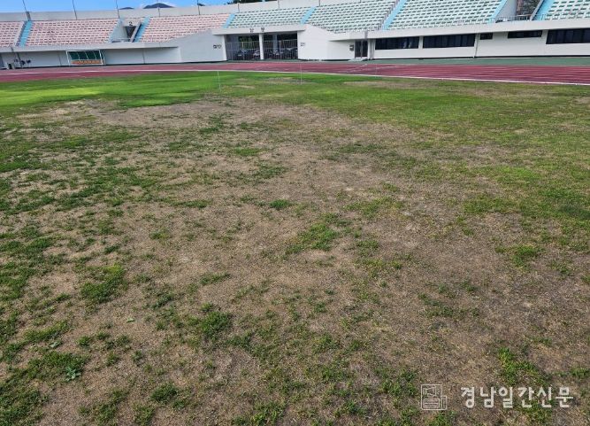 오버시딩 전 밀양시종합운동장 축구장 잔디 전경