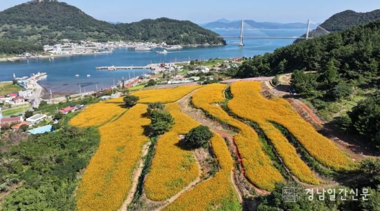 통영 사량도로 꽃길을 걷는 가을여행 올래요