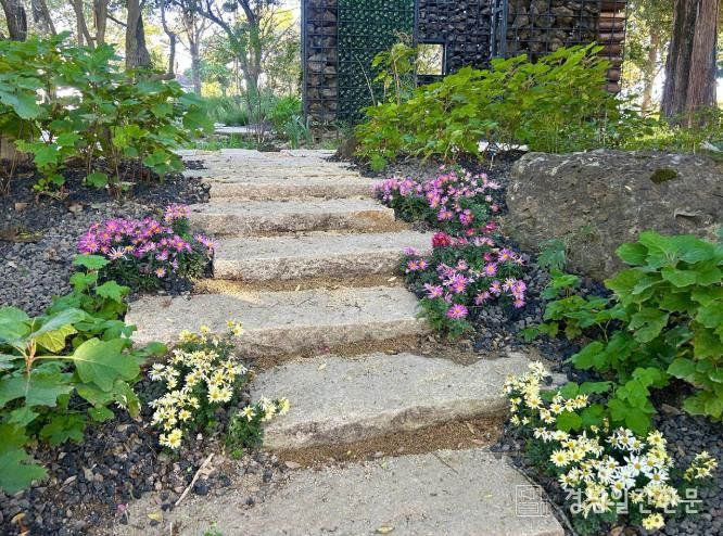 진주시 ‘초전공원’ 가을꽃 식재 ‘눈길’