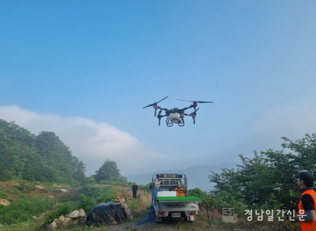 하동군, 밤나무 드론 방제