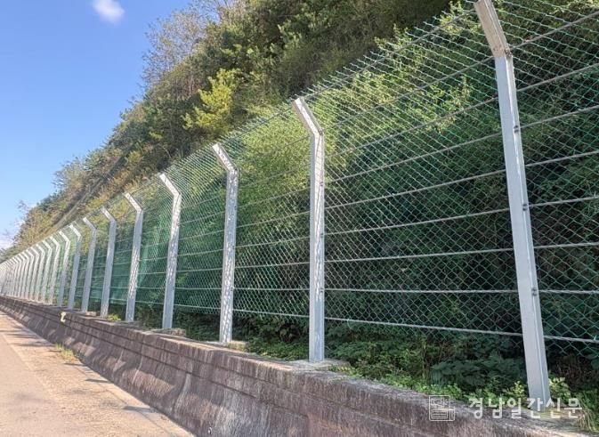 산청군, 풀베기·덩굴제거 사업 마무리