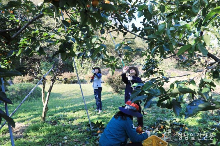함양군 2025 하반기 농촌일손돕기