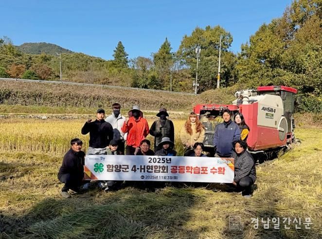 함양군 4-H연합회, 공동학습포 가루쌀 수확