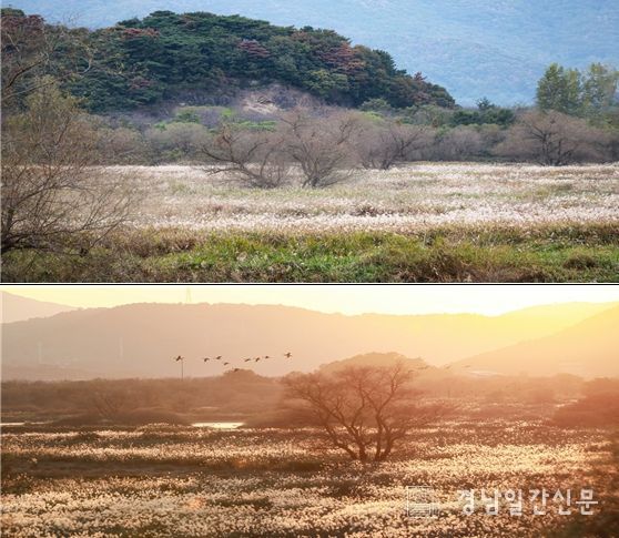 화포 조명훈 사진가