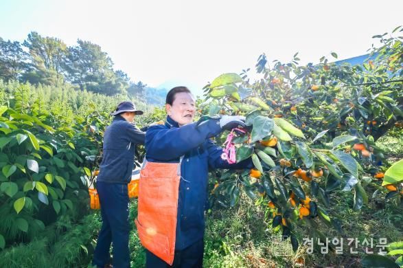 함안군, 가을철 농촌일손돕기 나서