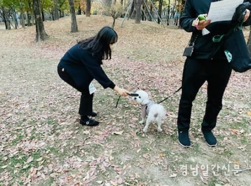 김해시, 동물 미등록 집중 단속 추진