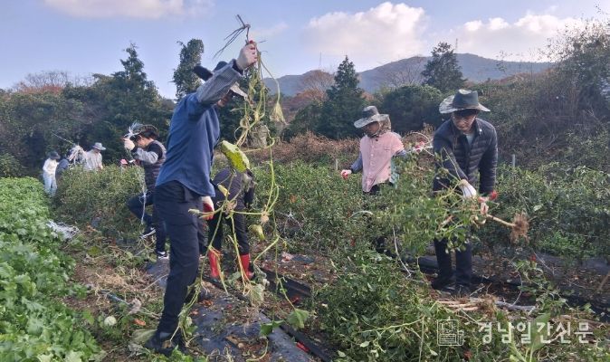 고성군 재무과, 가을철 농촌일손돕기