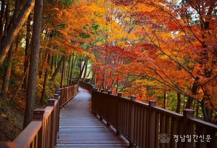 진주시, ‘무장애’ 진양호 노을길 준공